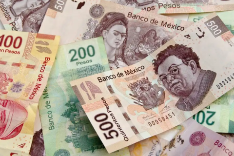 Tu crédito actualizado